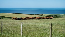 Trade and production: Canada